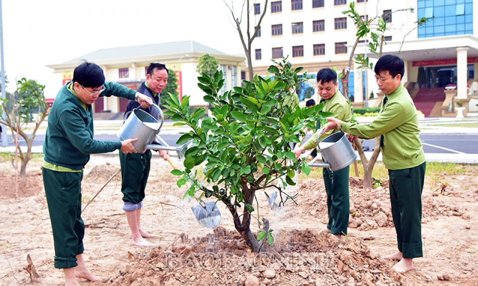 Các đơn vị tổ chức Tết trồng cây