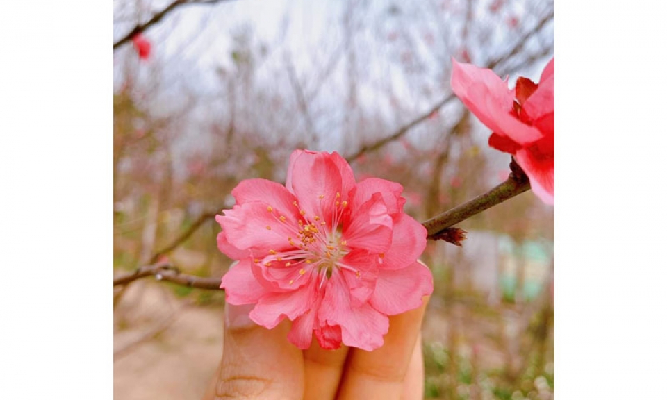 Một tấm lòng trong vạn tấm lòng