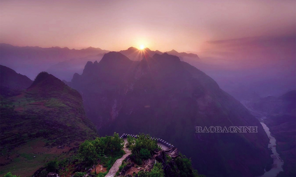 Hoa nở trên đỉnh núi mờ sương