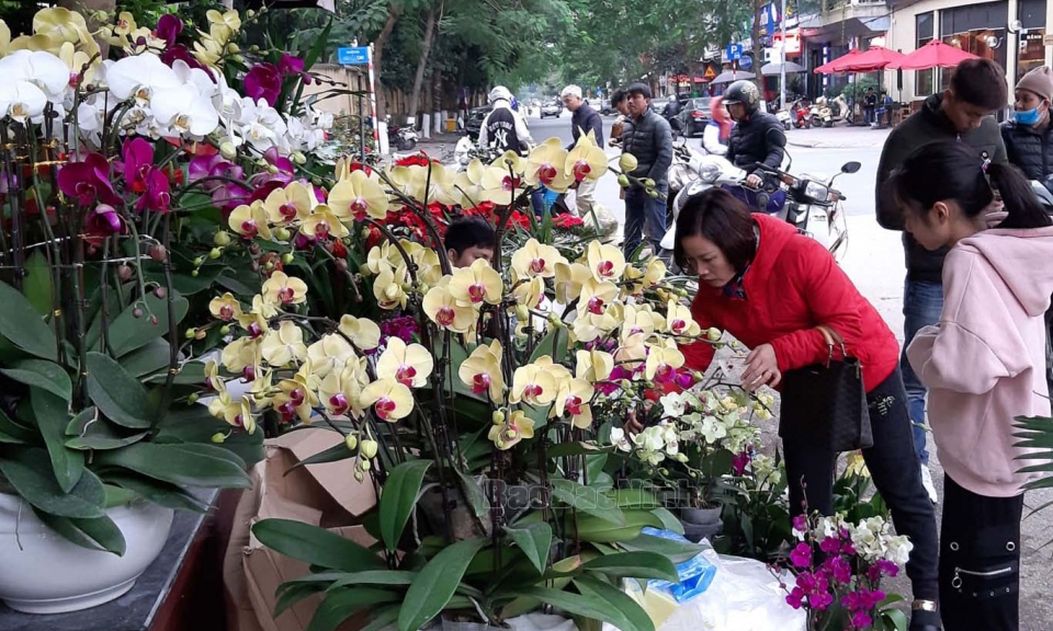 Đường phố rộn ràng sắc Xuân