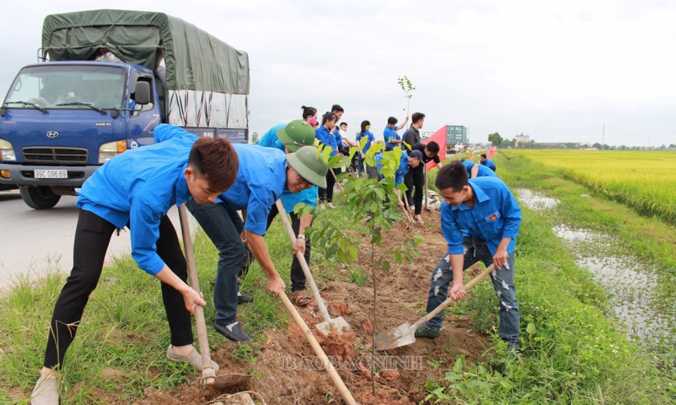 Năm 2023 toàn tỉnh phấn đấu trồng 300 nghìn cây các loại