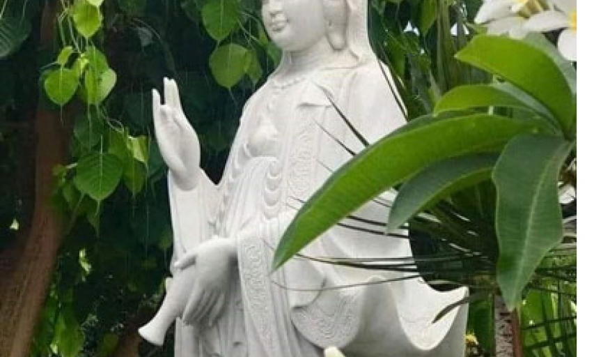 Cho con đôi cánh thiên thần
