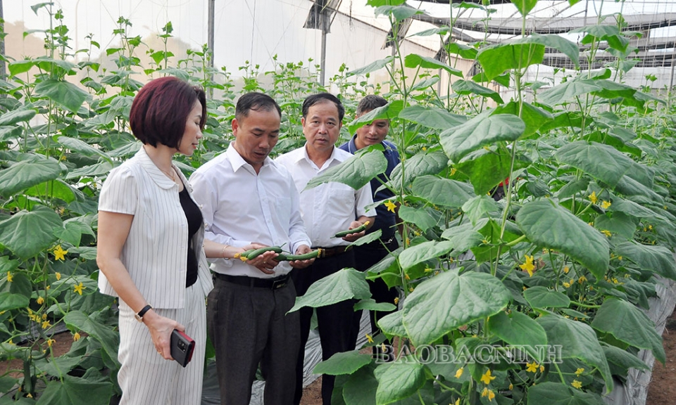 Gần 55 tỷ đồng triển khai các nhiệm vụ khoa học công nghệ năm 2023