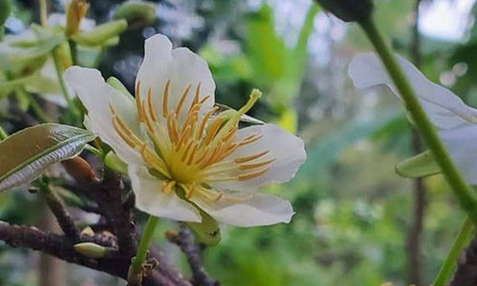 Chúng ta nên thực hành đức hiếu sinh