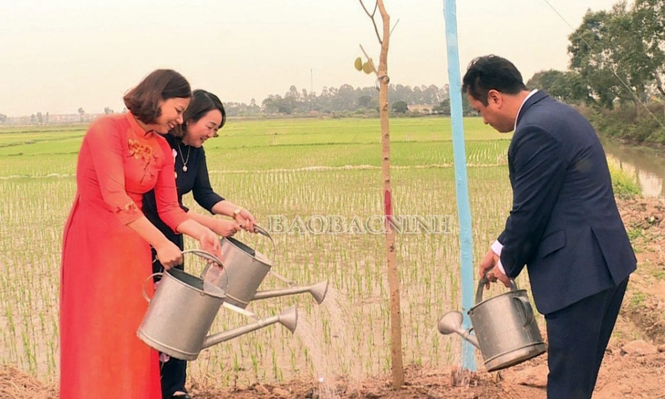 Phát động phong trào “Năm nghìn cây xanh”