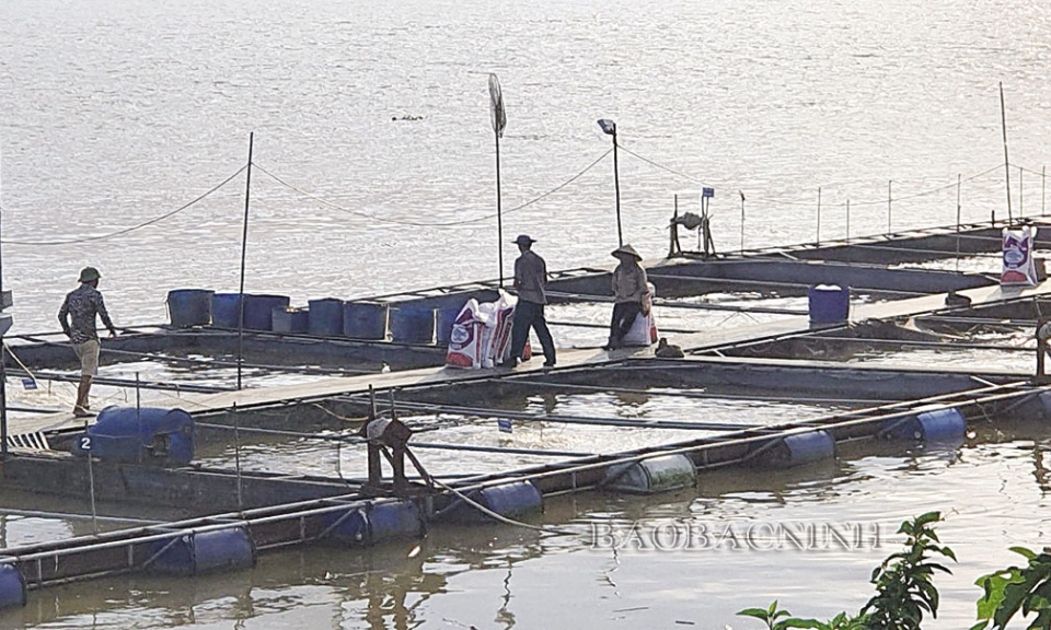 Kinh nghiệm xây dựng tổ chức Đảng trong sạch, vững mạnh ở Giang Sơn