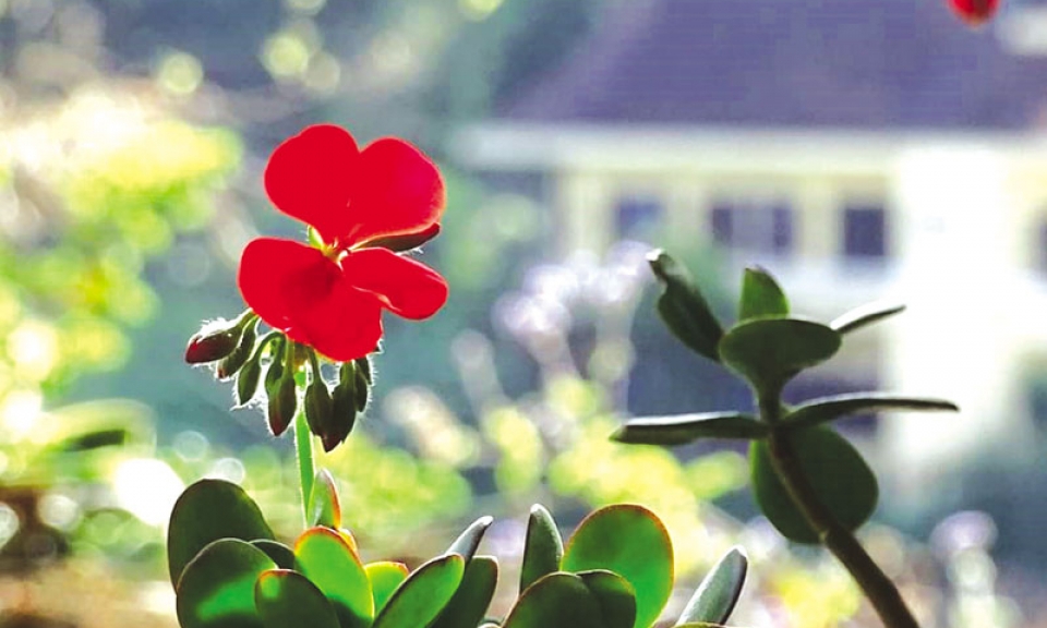 Cân bằng giữa cho đi và nhận lại