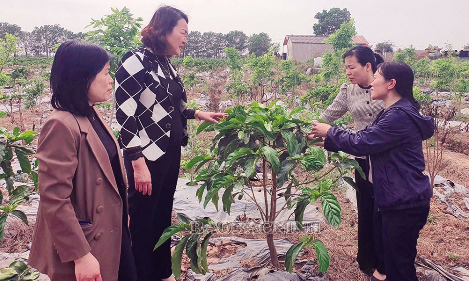 Tiếp sức cho phụ nữ Lương tài khởi nghiệp