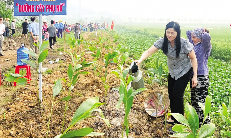 Trao quyền bình đẳng cho phụ nữ
