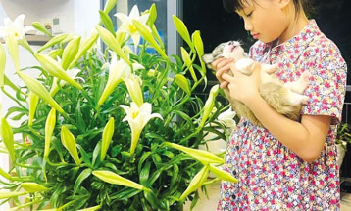 Hoa tháng Tư