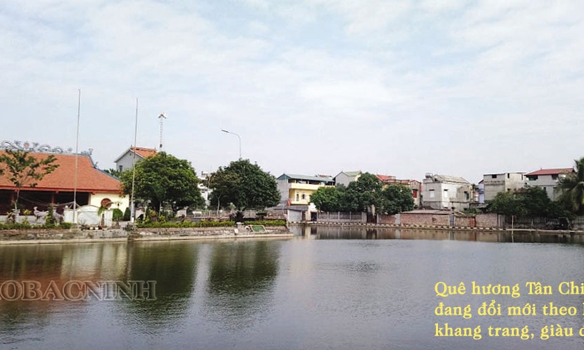 Đổi mới trên quê hương Tân Chi