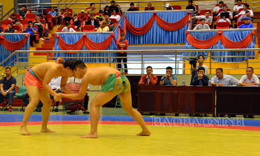 Giải vô địch Vật dân tộc quốc gia lần XXII tổ chức tại Gia Bình