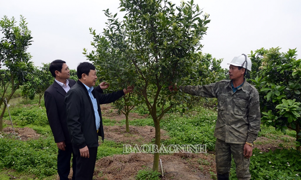 Xuân Lai quyết tâm cán đích Nông thôn mới nâng cao