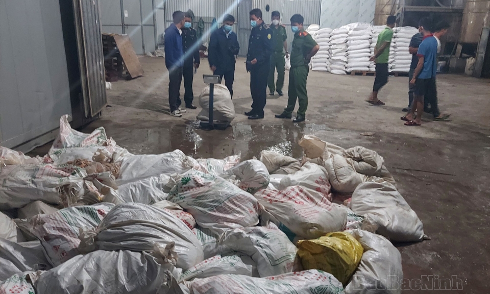 Tiêu hủy hơn 7 tấn lòng lợn chưa qua sơ chế, bốc mùi hôi thối