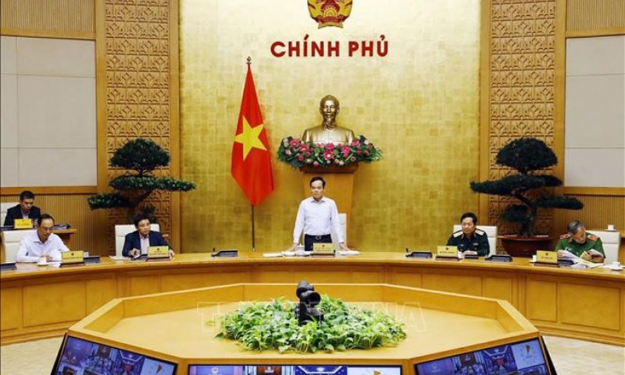 Kiểm tra việc đào tạo, sát hạch cấp Giấy phép lái xe đường bộ