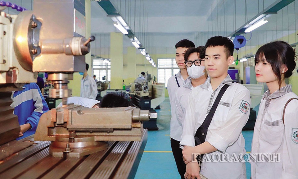 Tăng cường tư vấn hướng nghiệp cho học sinh
