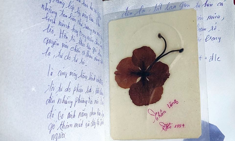 Ký ức mùa thi