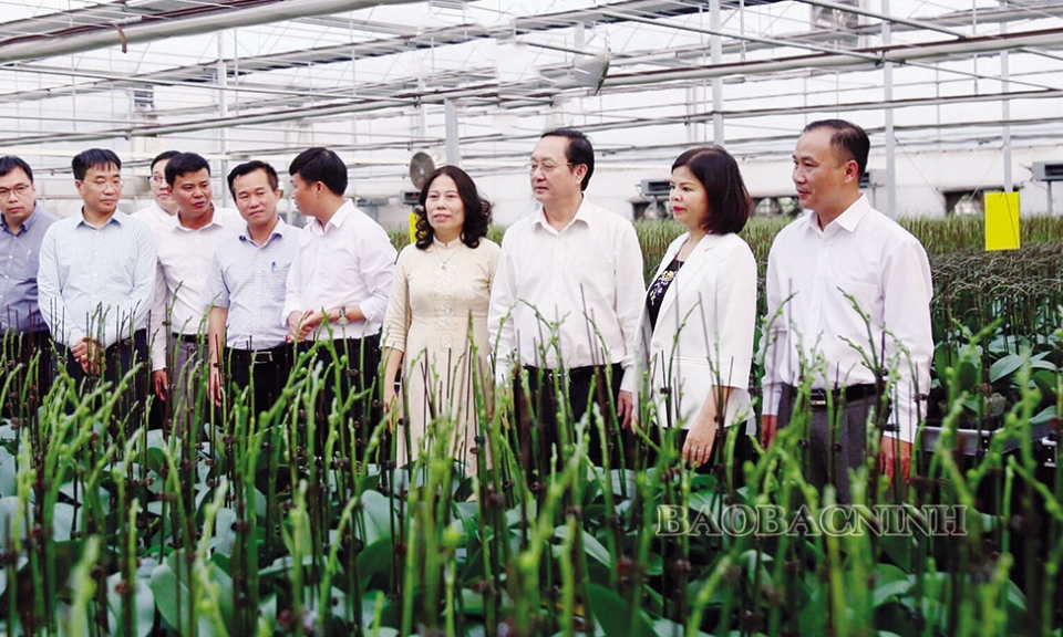 Khoa học, công nghệ và đổi mới  sáng tạo - Động lực phát triển bền vững nâng cao vị thế của Bắc Ninh