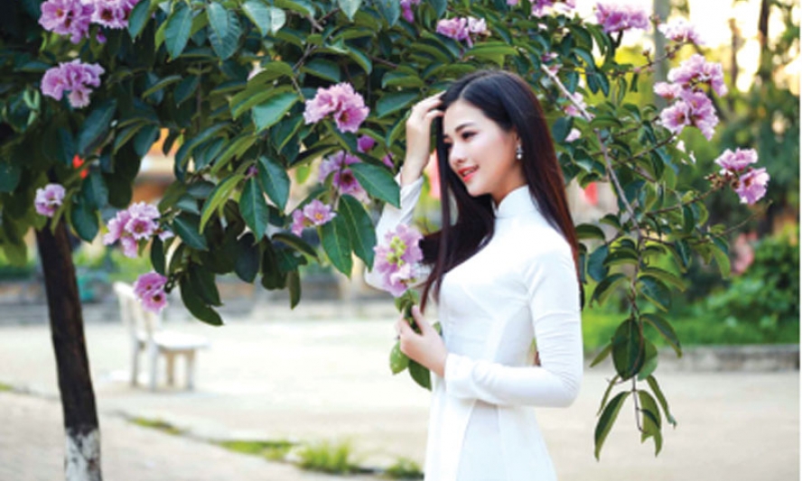 Con đường bằng lăng