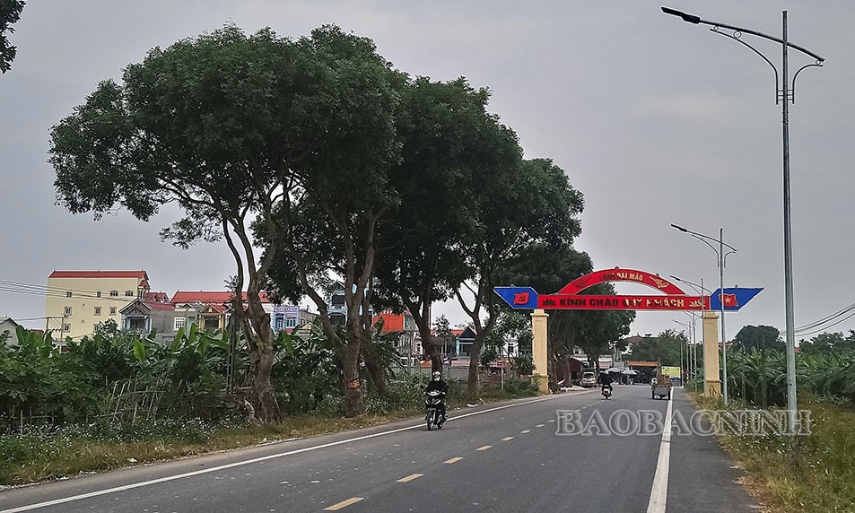 Thuận Thành phấn đấu 2 xã đạt chuẩn Nông thôn mới nâng cao trong năm 2023