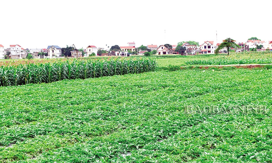 Đổi thay ở An Thịnh