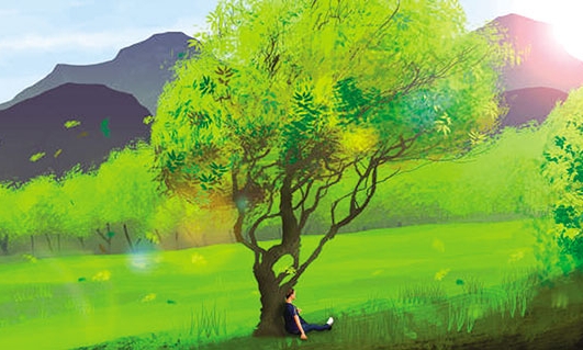 Giấc trưa chạy dài theo bóng nắng