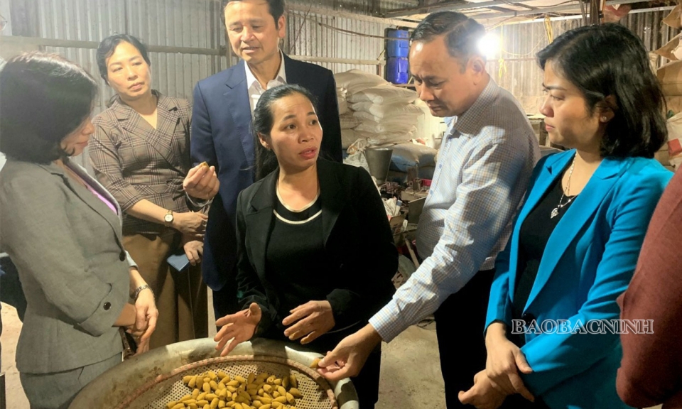 Hiệu quả từ Đề án “Hỗ trợ phụ nữ khởi nghiệp”