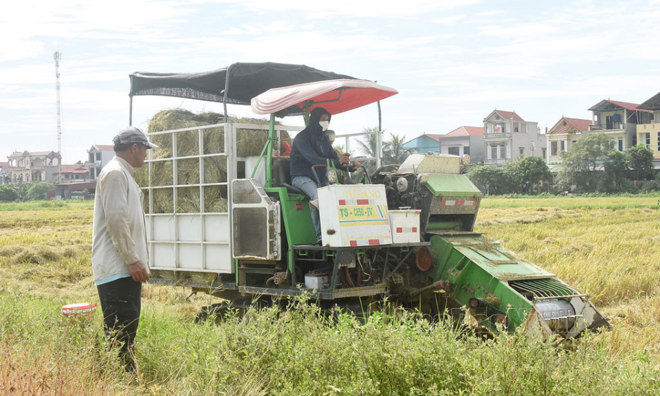 Lợi ích kép từ chiếc máy cuốn rơm