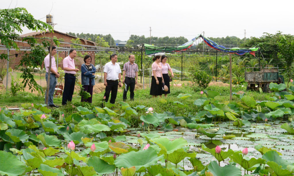 Kiểm tra việc triển khai thực hiện tín dụng chính sách tại thành phố Bắc Ninh