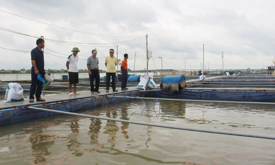 Hội Nông dân tỉnh sơ kết công tác Hội và phong trào nông dân