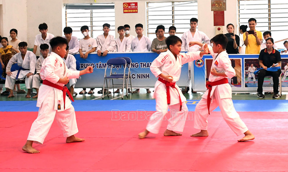 Giải Karate thanh thiếu nhi tỉnh Bắc Ninh mở rộng lần thứ I