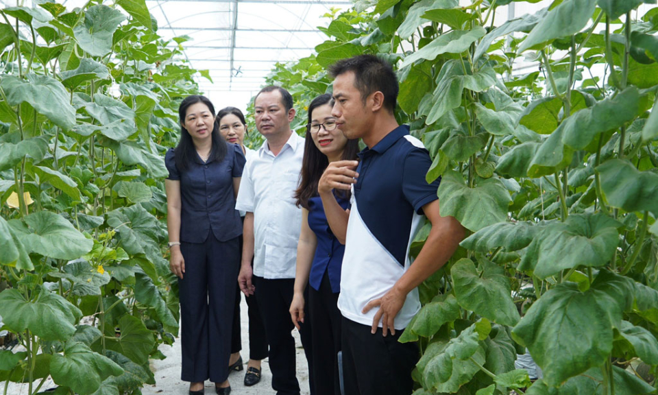 Hội Nông dân tỉnh thăm một số mô hình sản xuất nông nghiệp tiêu biểu tại thị xã Quế Võ