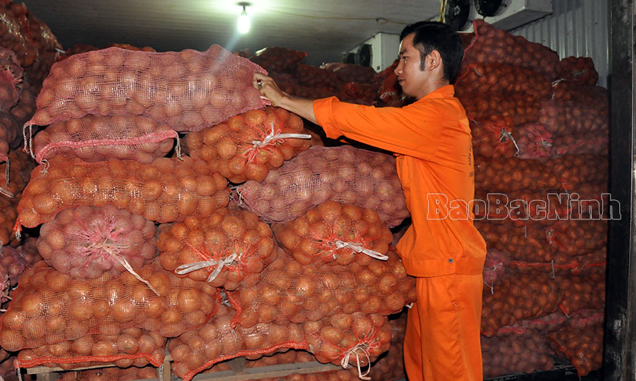 HTX nông nghiệp ở vùng công nghiệp