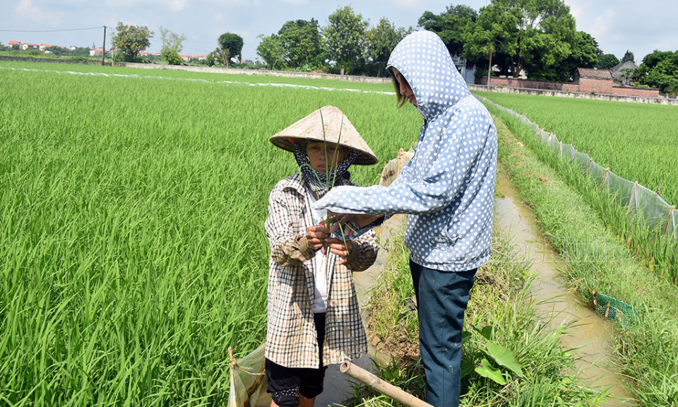 Quỳnh Phú ứng dụng  kỹ thuật mới vào sản xuất