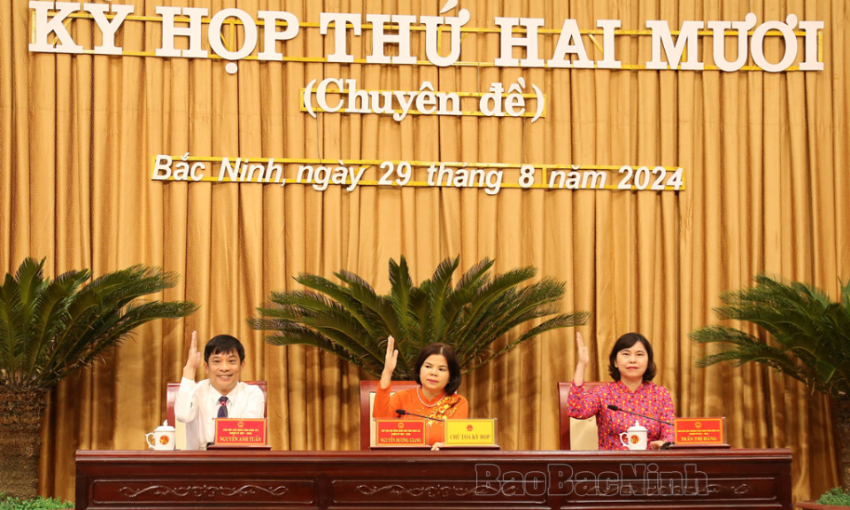 Kỳ họp thứ 20 (chuyên đề) HĐND tỉnh thông qua 4 nghị quyết