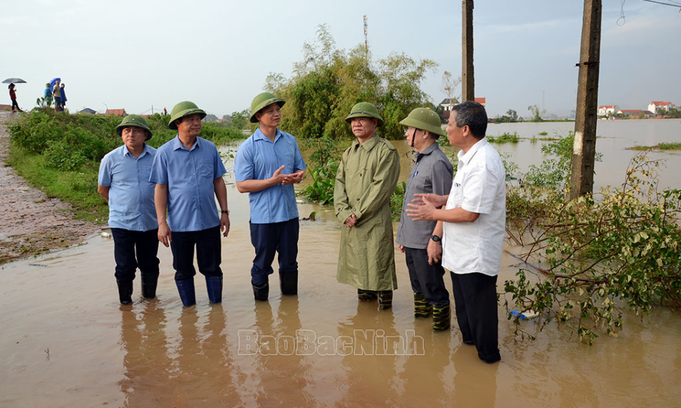 Nỗ lực bảo đảm an toàn hệ thống đê