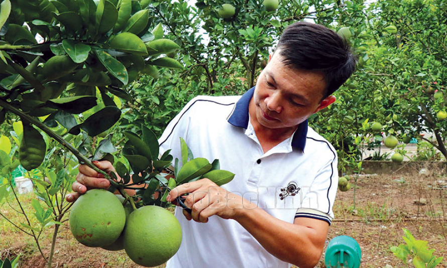 Nơi gặp gỡ nông dân làm kinh tế giỏi