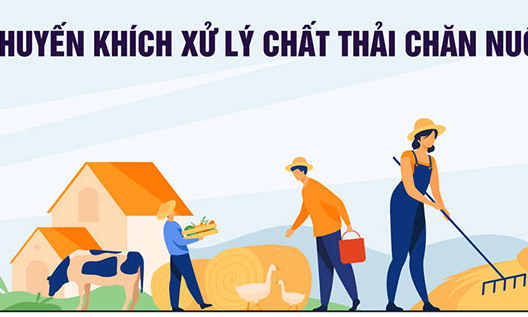 Cơ sở chăn nuôi được hỗ trợ lên đến 1 tỷ đồng để xử lý chất thải chăn nuôi