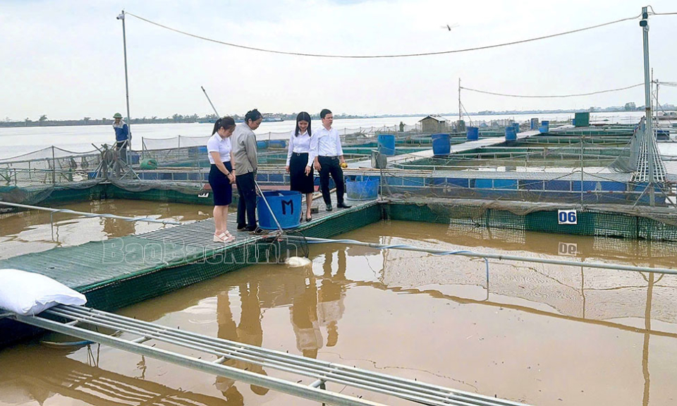 Điểm tựa khởi động sản xuất  kinh doanh sau bão