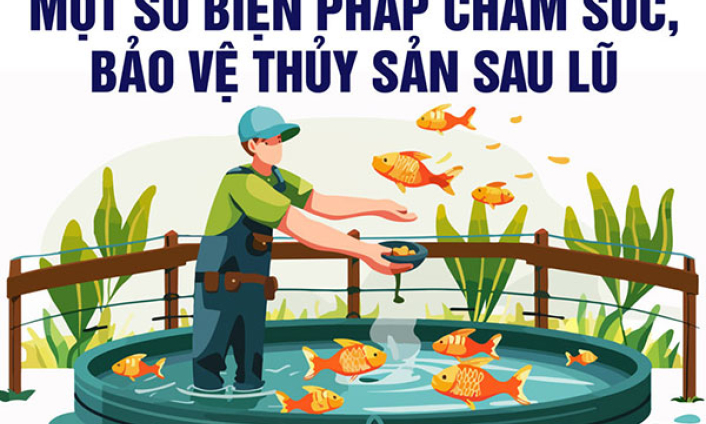 Một số biện pháp chăm sóc, bảo vệ thủy sản sau mưa lũ