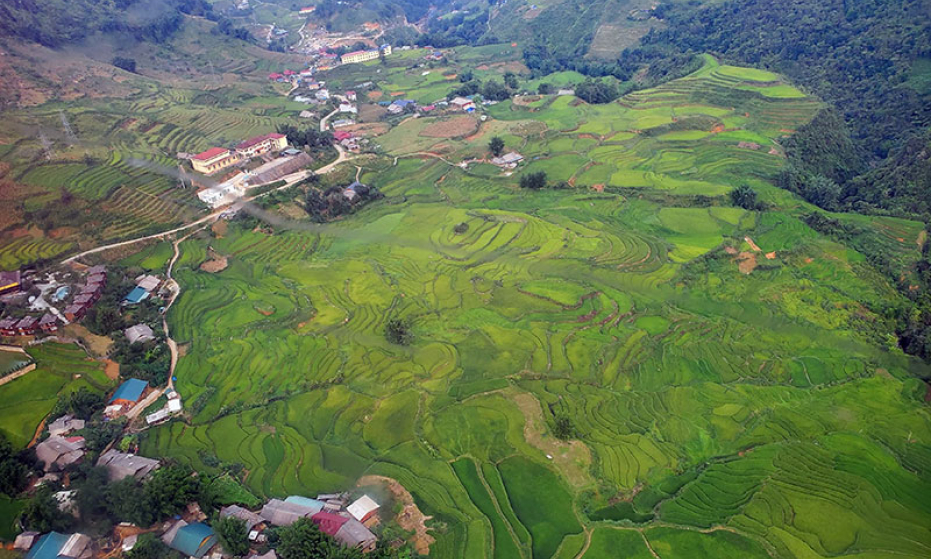 Học cách chấp nhận sự đa dạng