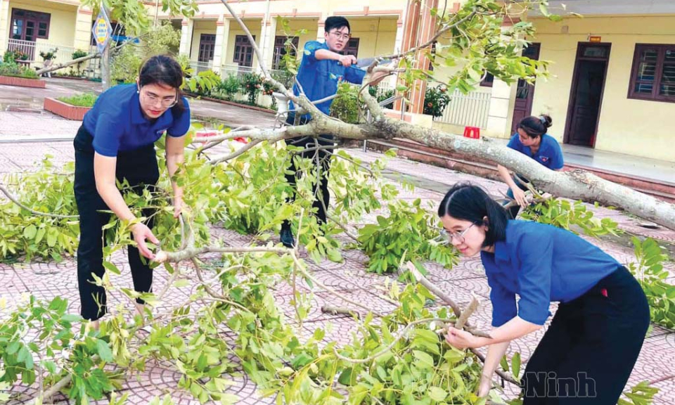 Sẵn sàng cho sự kiện chính trị  của Thanh niên