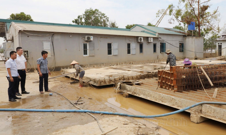 Hỗ trợ về thuế cho người dân, doanh nghiệp bị thiệt hại