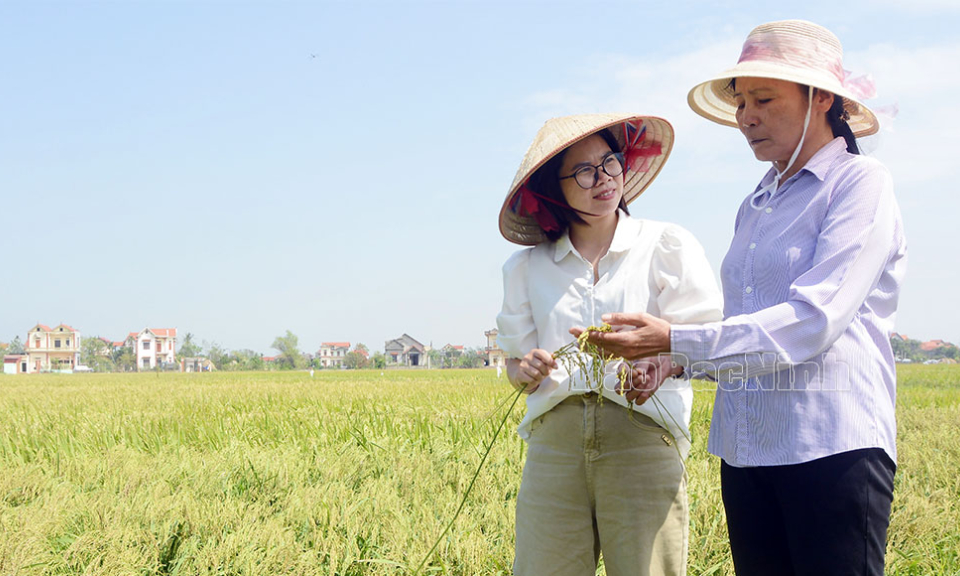 Nữ trưởng thôn “miệng nói, tay làm”