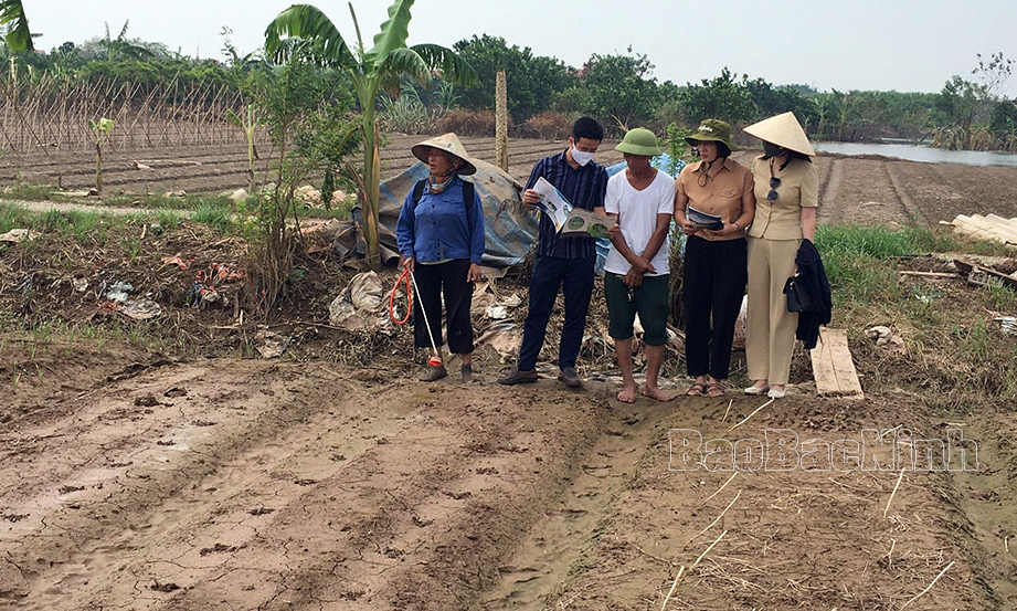 Tập trung khôi phục sản xuất nông nghiệp sau bão lũ