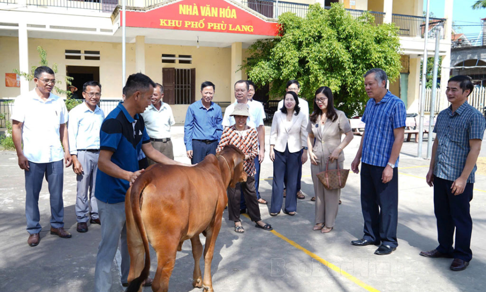 Tặng bò giống sinh sản cho hội viên nông dân nghèo