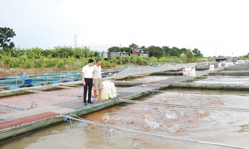 “Chìa khóa” giúp Agribank thị xã Quế Võ hoàn thành xuất sắc nhiệm vụ