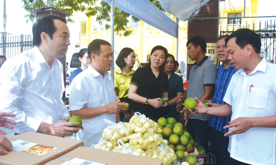 Phối hợp thúc đẩy phát triển kinh tế tập thể