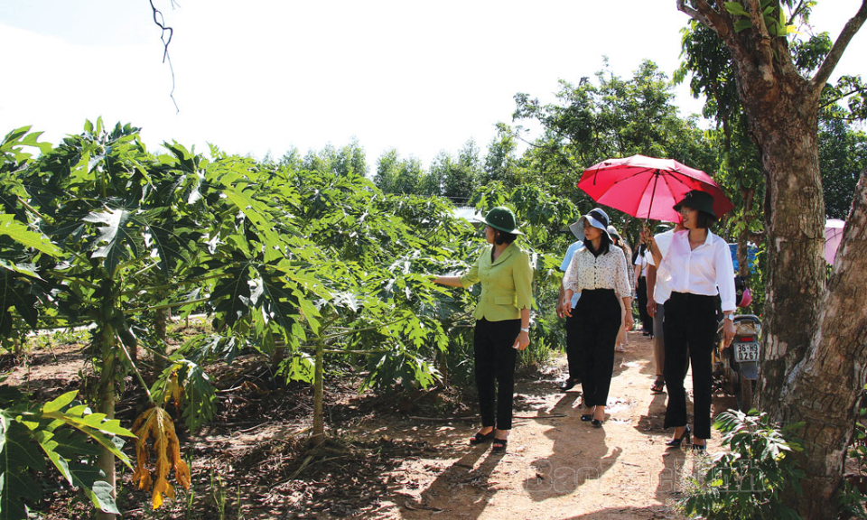 Khơi nguồn sáng tạo cho phụ nữ khởi nghiệp