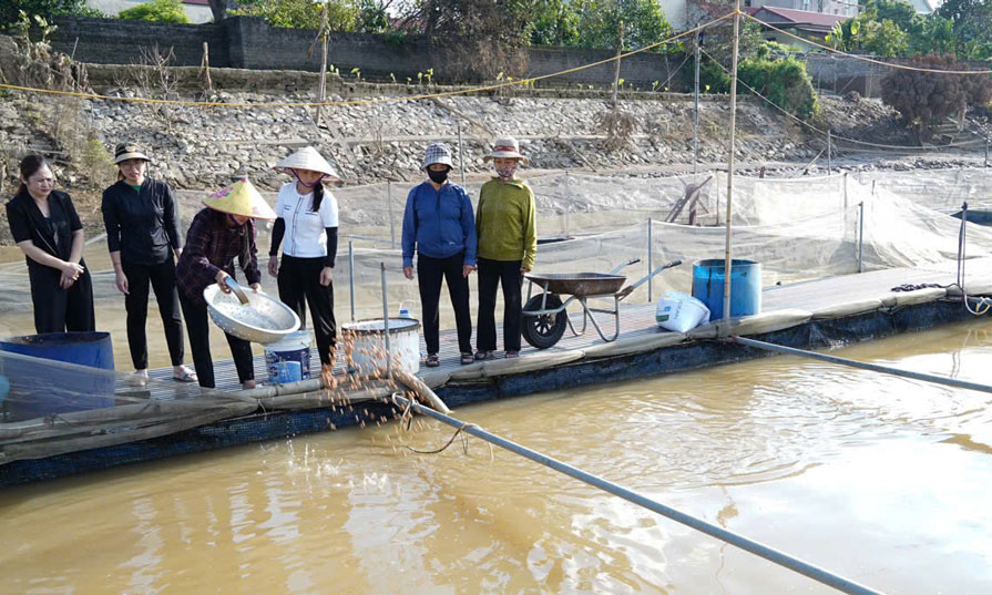 Chi hội trưởng Phụ nữ tiêu biểu